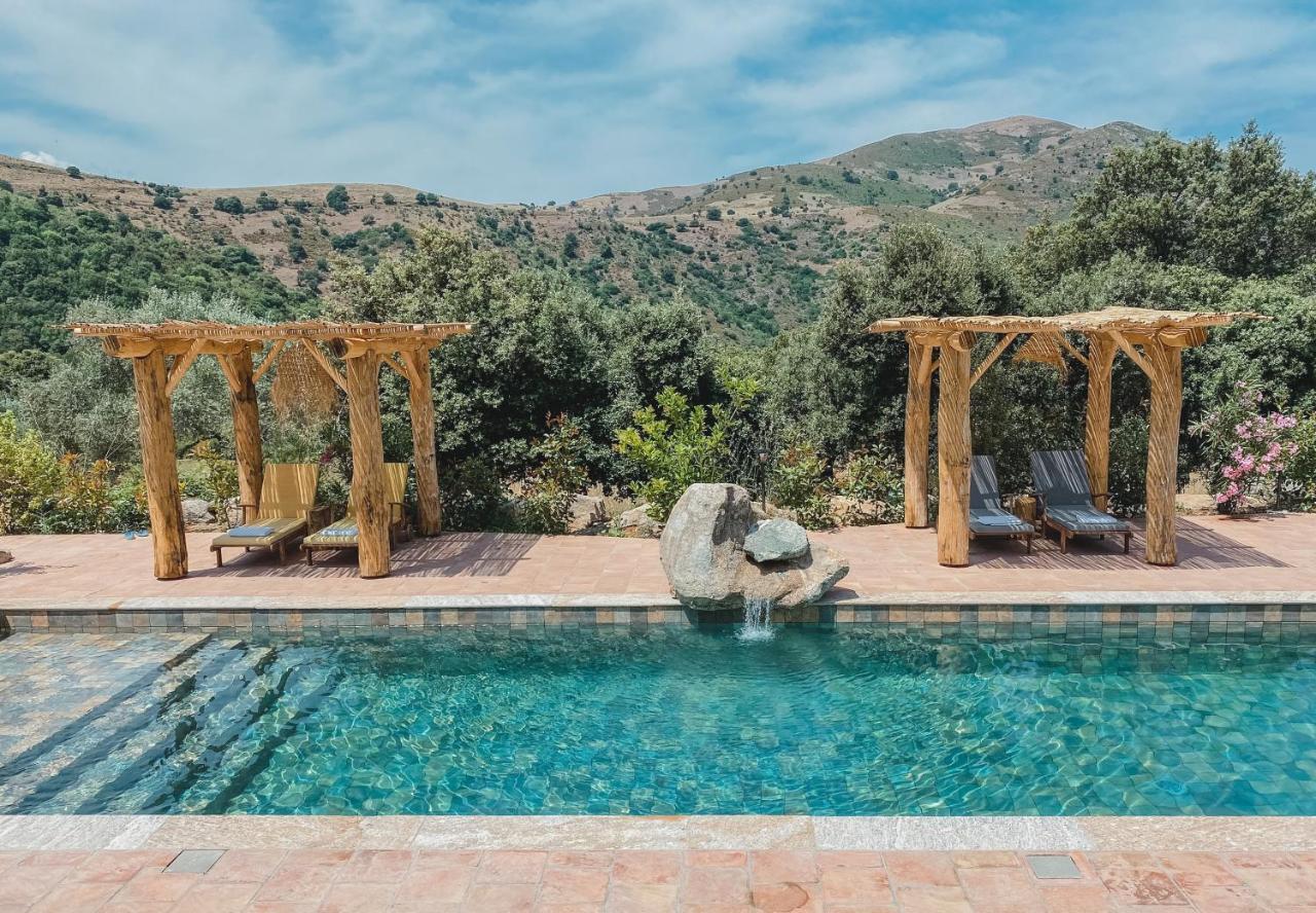 Residence De Luxe 4 Etoiles A Pietralba, 4 Logements Piscine Chauffee Balagne Экстерьер фото