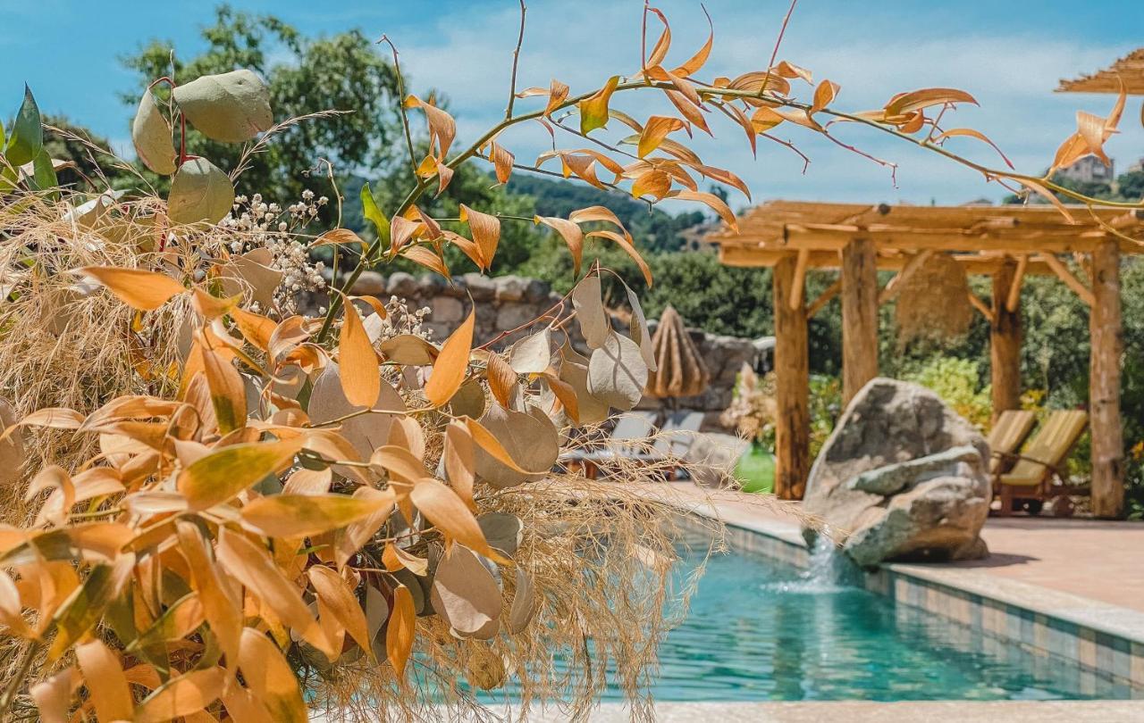 Residence De Luxe 4 Etoiles A Pietralba, 4 Logements Piscine Chauffee Balagne Экстерьер фото